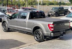 فۆرد F-150